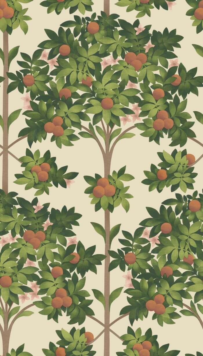 Orange Blossom - Cole & Son