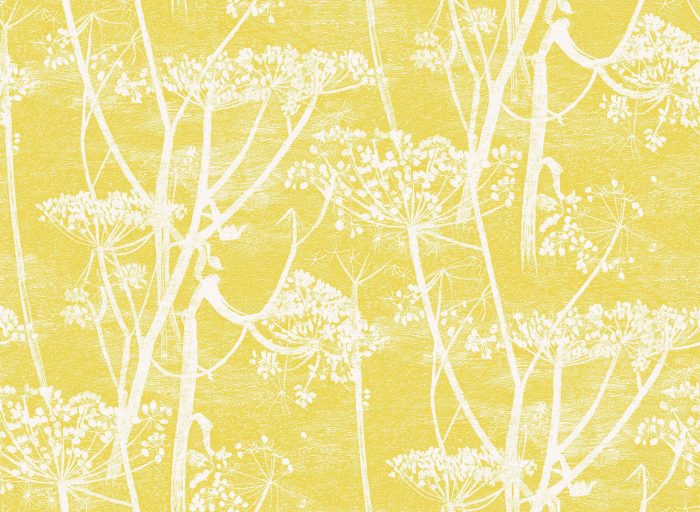 Cow Parsley - Cole & Son