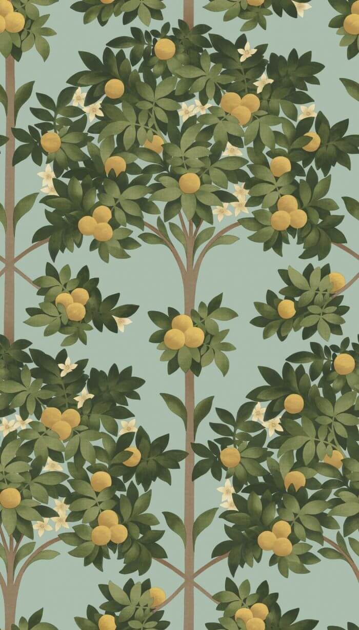Orange Blossom - Cole & Son