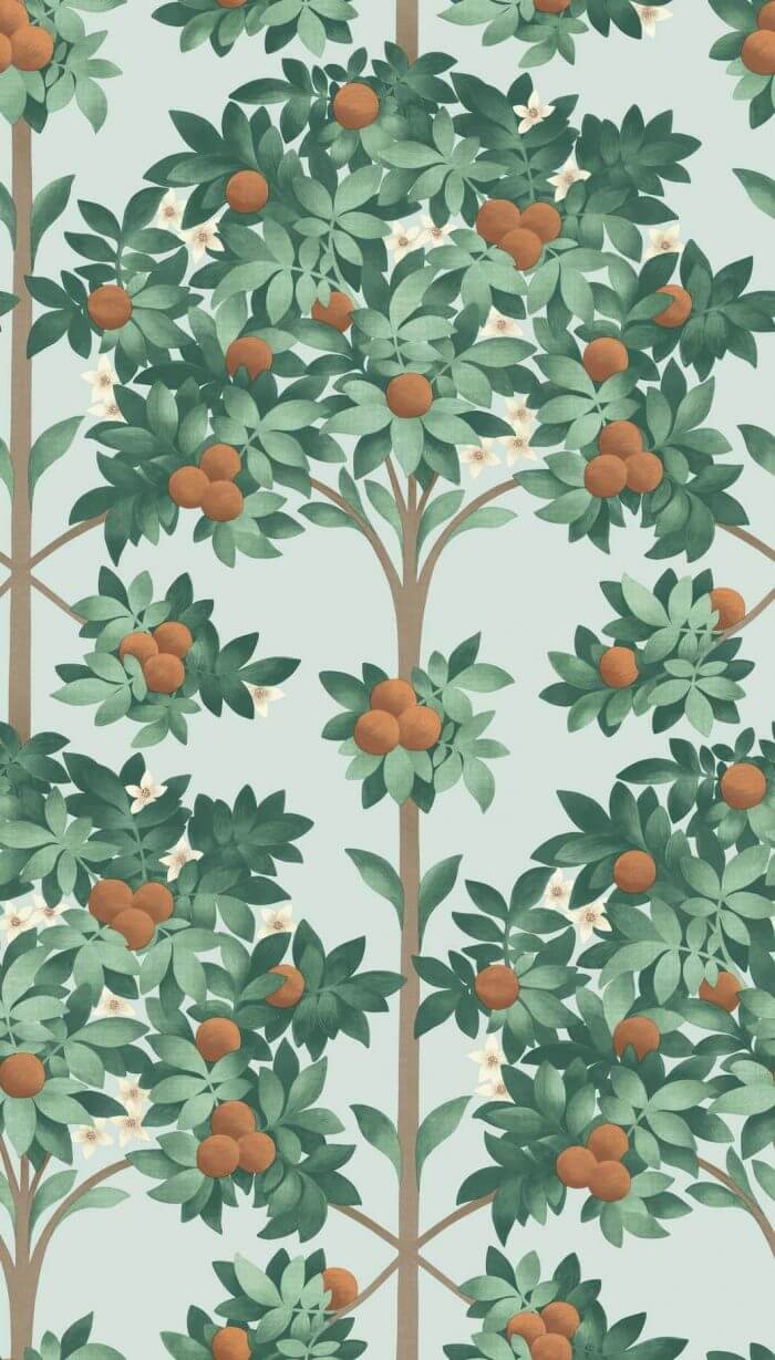 Orange Blossom - Cole & Son
