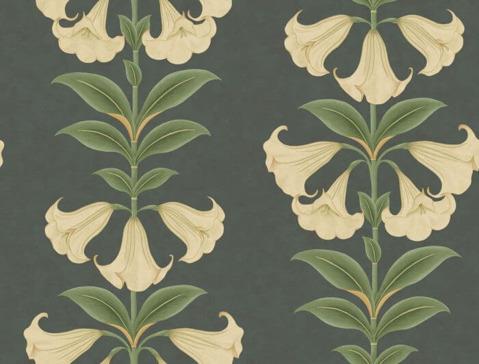 Angel's Trumpet - Cole & Son