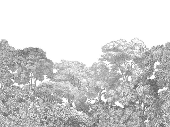Bellewood, Grey Toile - Rebel Walls