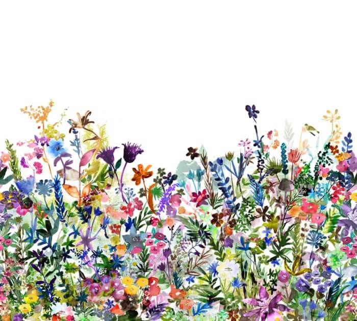 May Meadow - Rebel Walls