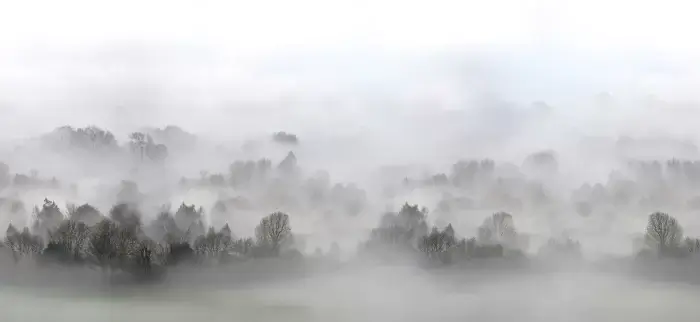 Morning Fog - Rebel Walls