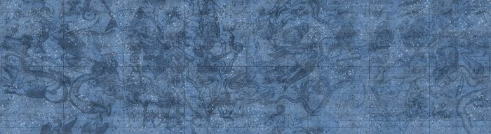 Star Maps - Rebel Walls