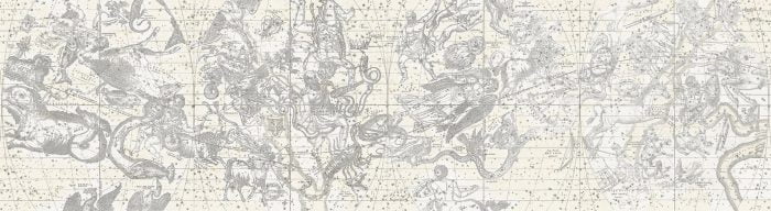 Star Maps,  White - Rebel Walls