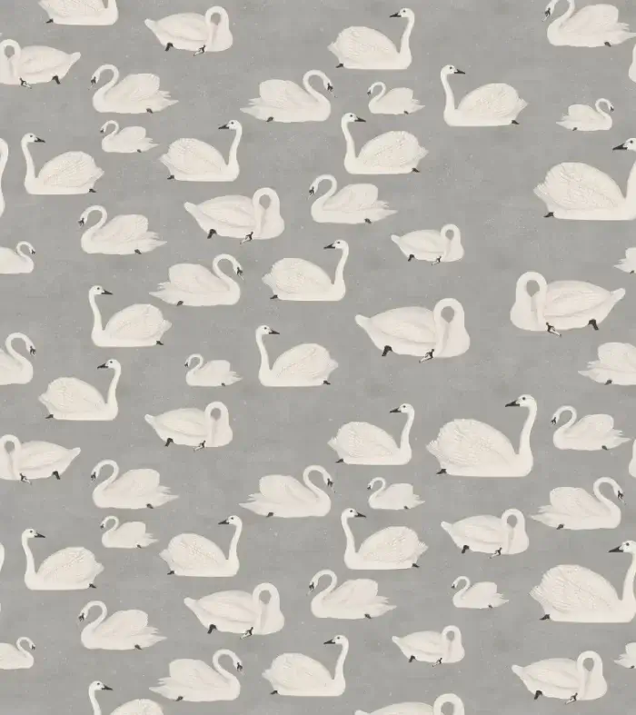 Cygne - Rebel Walls
