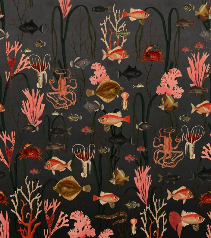 Aquatic Life, Shadows - Rebel Walls