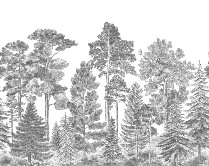 Scandinavian Bellewood, Grey - Rebel Walls