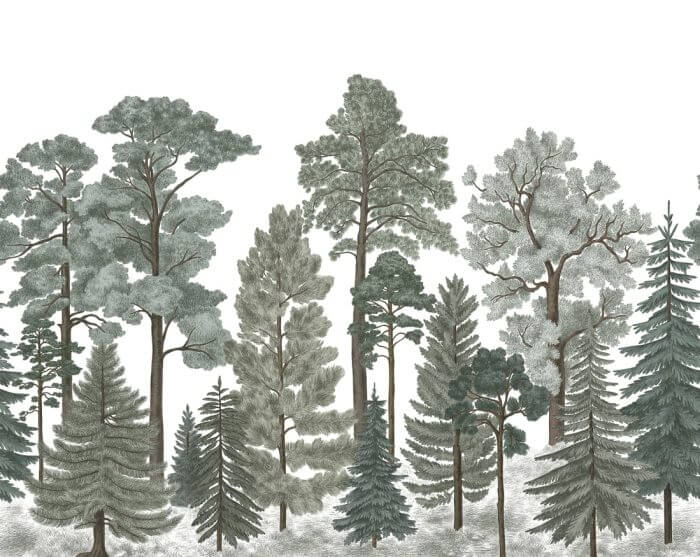 Scandinavian Bellewood, Frost - Rebel Walls