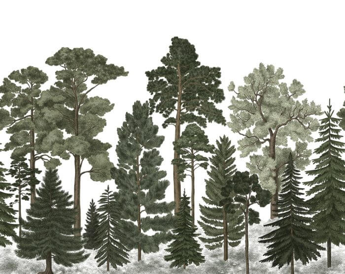 Scandinavian Bellewood - Rebel Walls