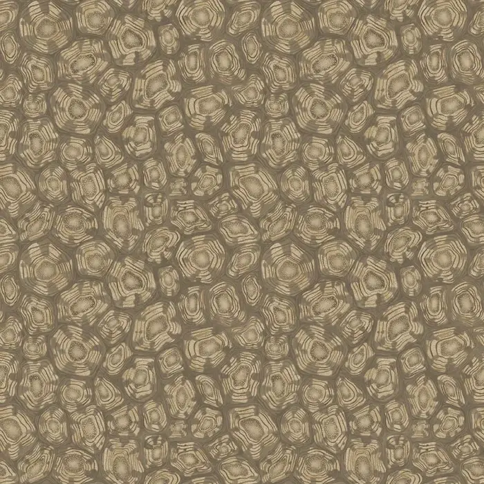 Savanna Shell, Metallic Gilver, Cedar & Metallic Gold - Cole & Son