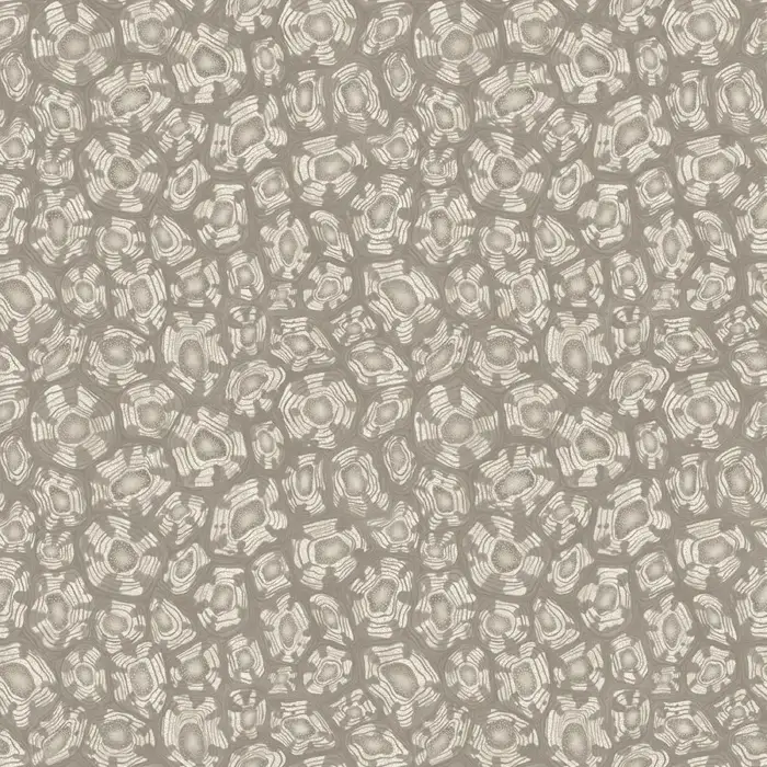 Savanna Shell, Shell Mica, Taupe & Metallic Gilver - Cole & Son