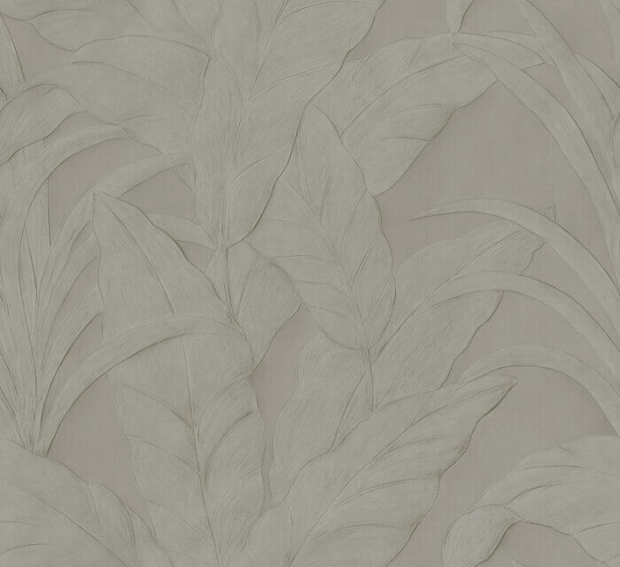 Musa Silver - Arte