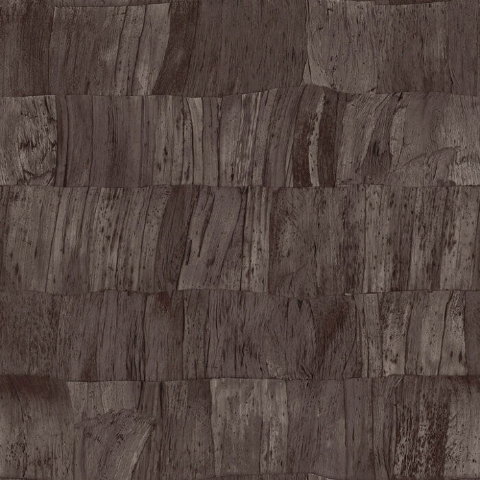Capas 34303 - Arte