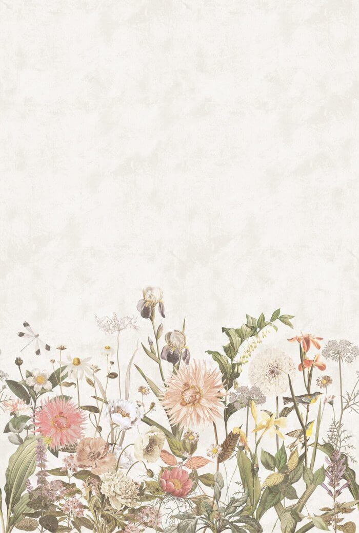 Dahlia - Boråstapeter
