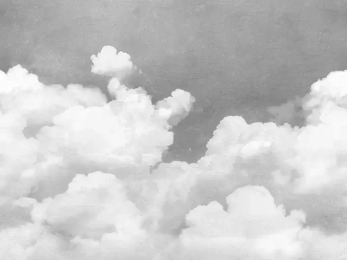 Cuddle Clouds, Graphite - Rebel Walls