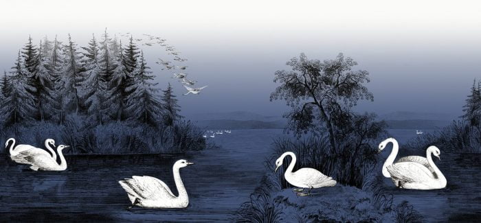 Swan Lake, Nightfall - Rebel Walls