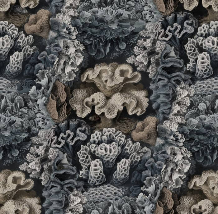 Aquila, Teal - Rebel Walls