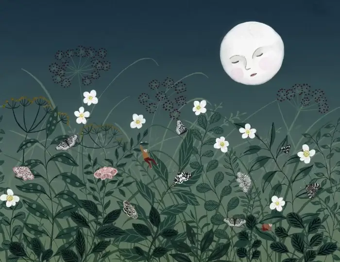 Pixie, Night - Rebel Walls