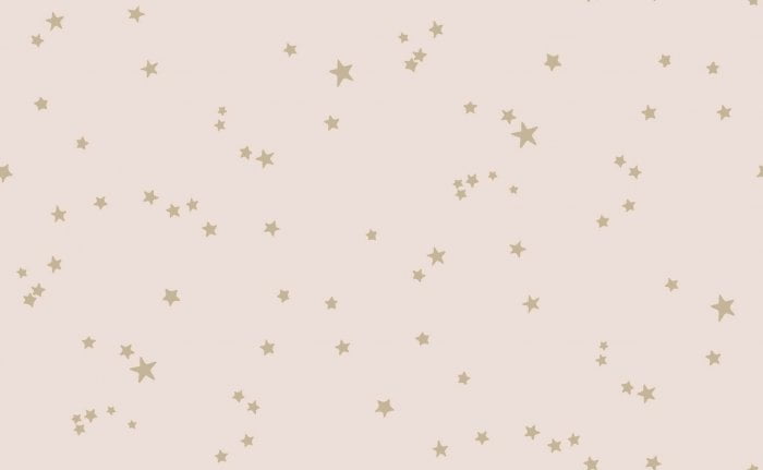 Stars, Metallic Gilver on Ballet Slipper - Cole & Son