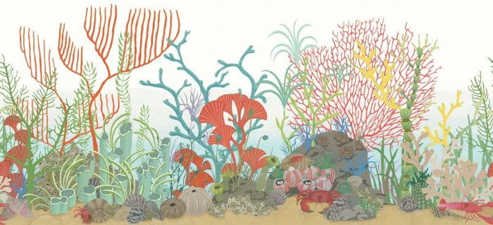 Archipelago Border - Cole & Son