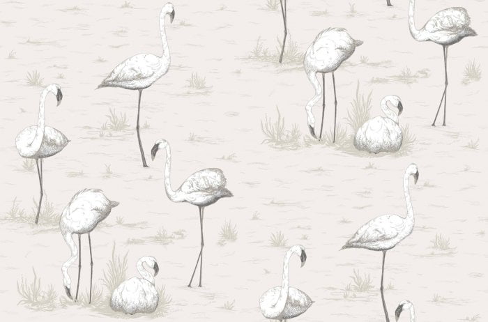 Flamingos - Cole & Son