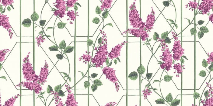Wisteria, Magenta & Leaf Green on Chalk - Cole & Son