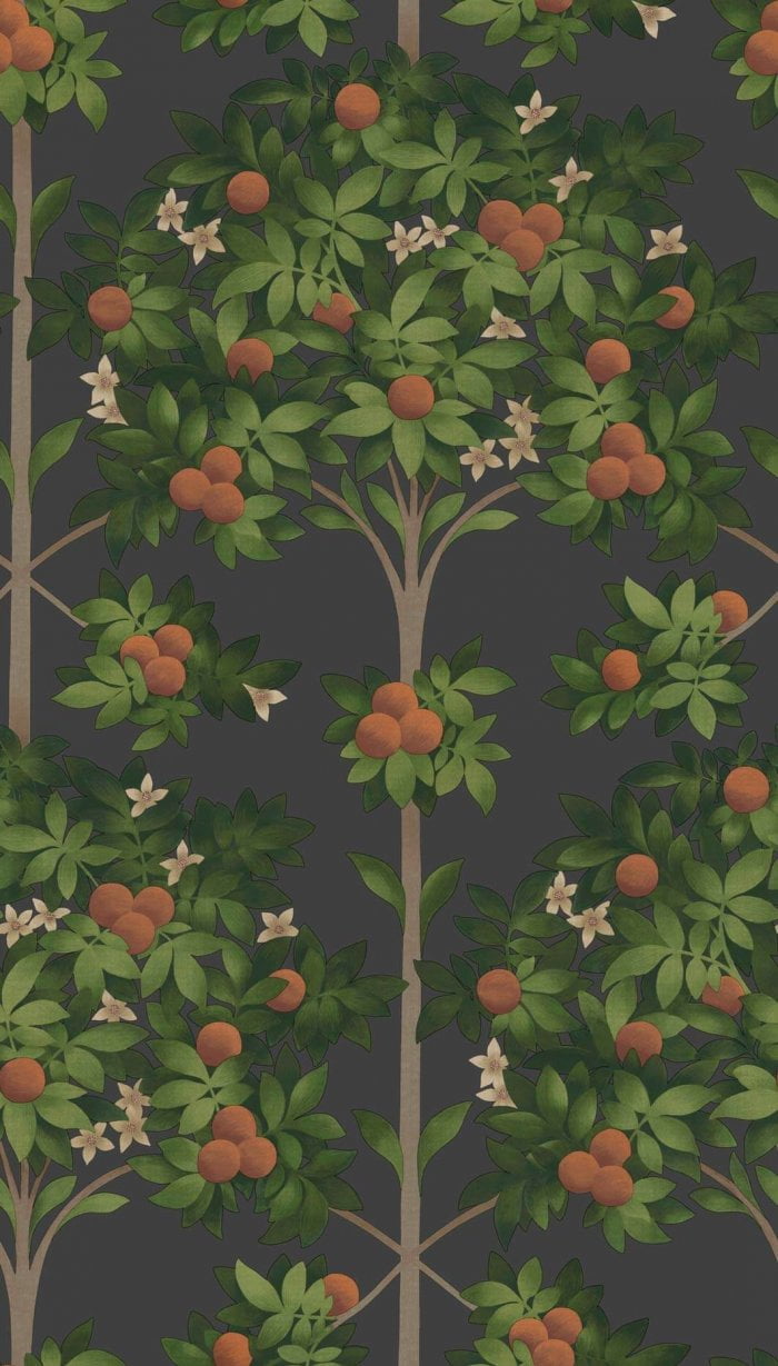 Orange Blossom - Cole & Son