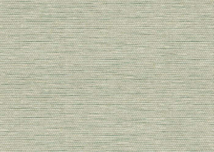 Le Papier Tissé Pistache - Arte