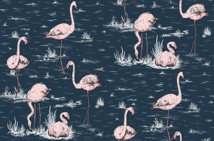 Flamingos, Blush on Midnight - Cole & Son