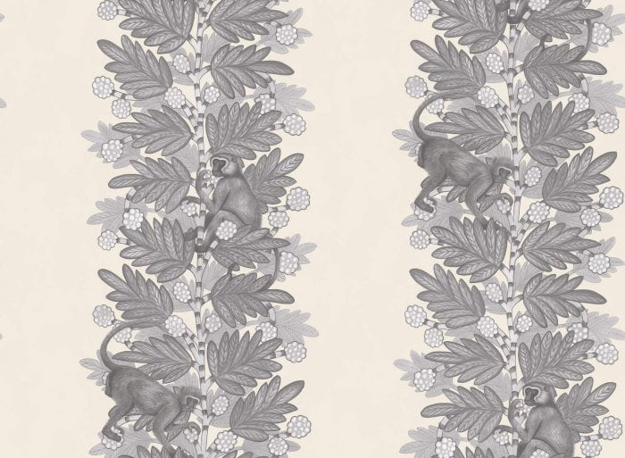 Acacia, Soot & Snow on Parchment - Cole & Son