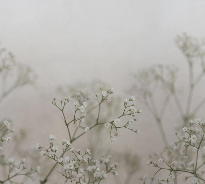 Julia Spring Green - Sandberg