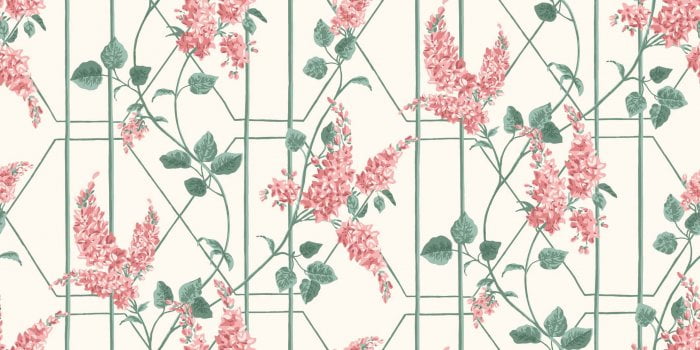Wisteria, Coral & Sage on White - Cole & Son