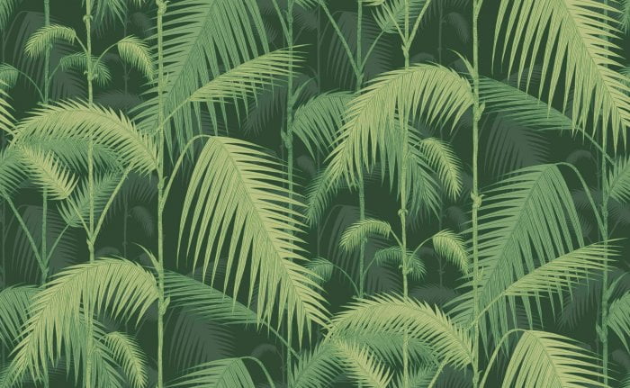 Palm Jungle, Forest Green - Cole & Son