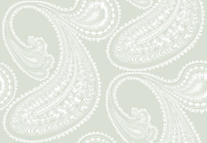 Rajapur - Cole & Son