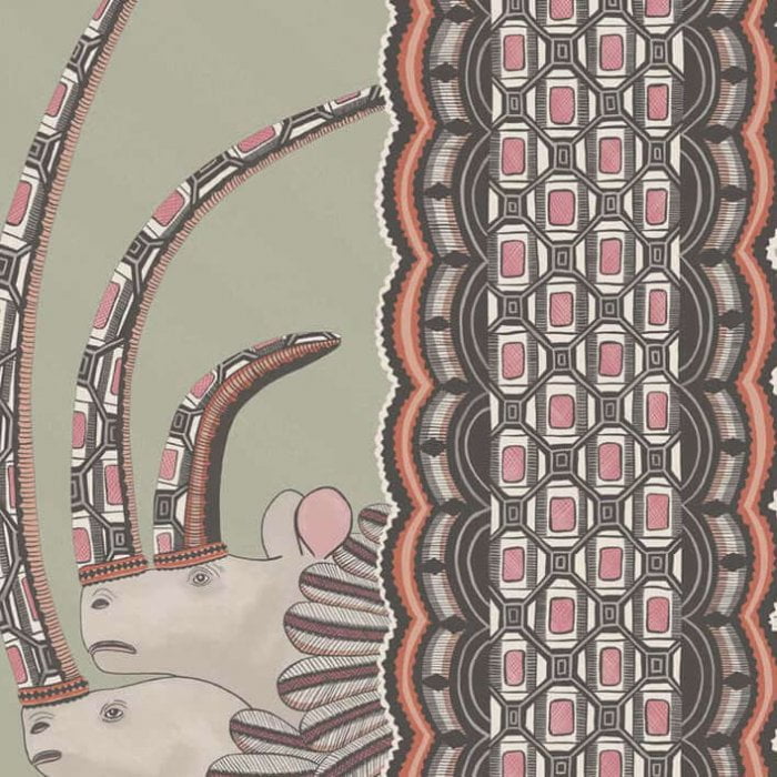 Jabu, Coral on Soft Olive - Cole & Son