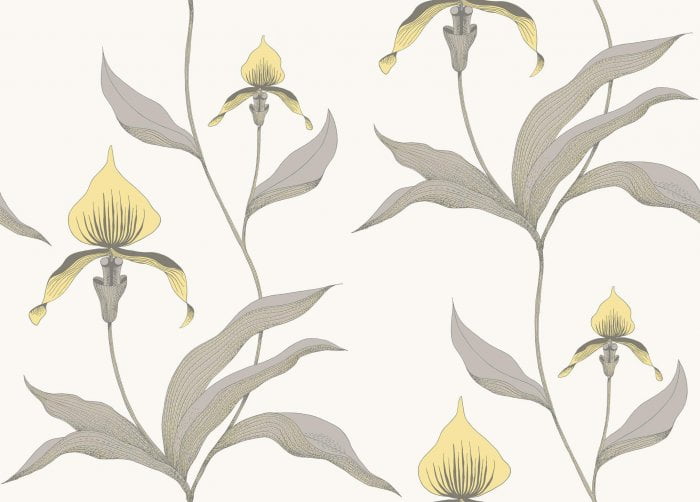 Orchid - Cole & Son