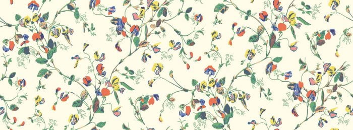 Sweet Pea, Autumnal Multi on Cream - Cole & Son