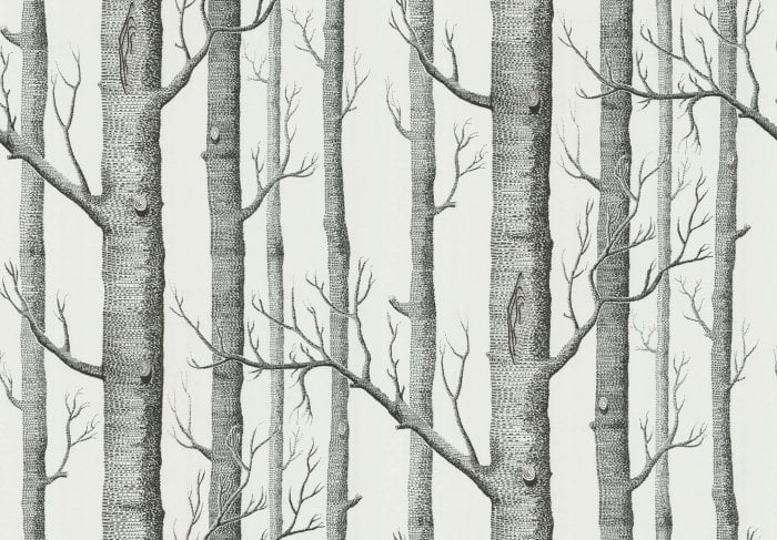 Woods - Cole & Son