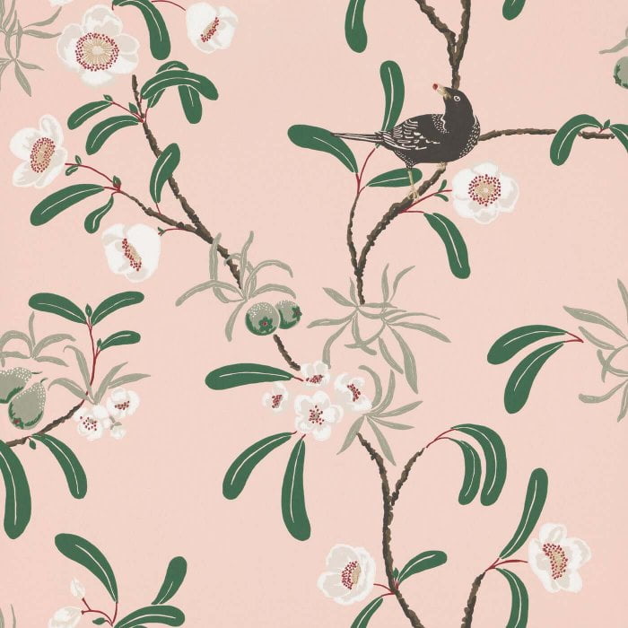 Antonia, Pink - Sandberg