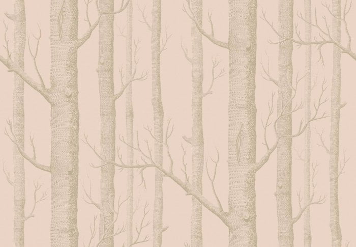 Woods, Metallic Gilver on Ballet Slipper - Cole & Son