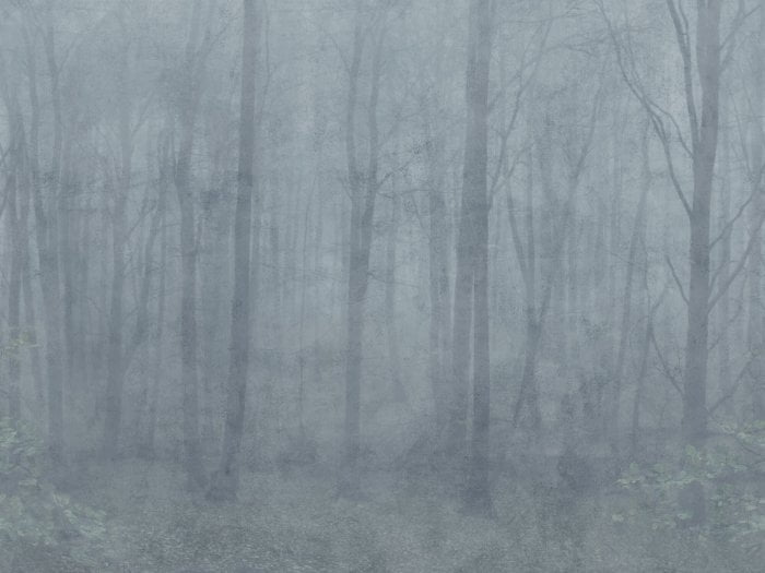 Skog Misty Blue - Sandberg