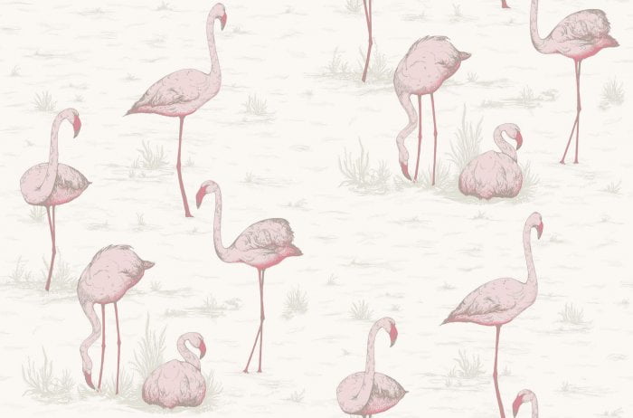 Flamingos, Blush & Cerise on White - Cole & Son
