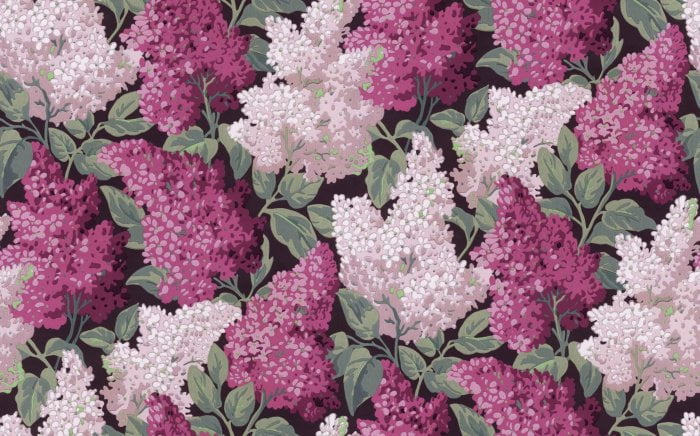 Lilac Grandiflora, Magenta & Blush on Charcoal - Cole & Son