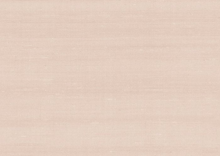 Latus Bisque - Arte