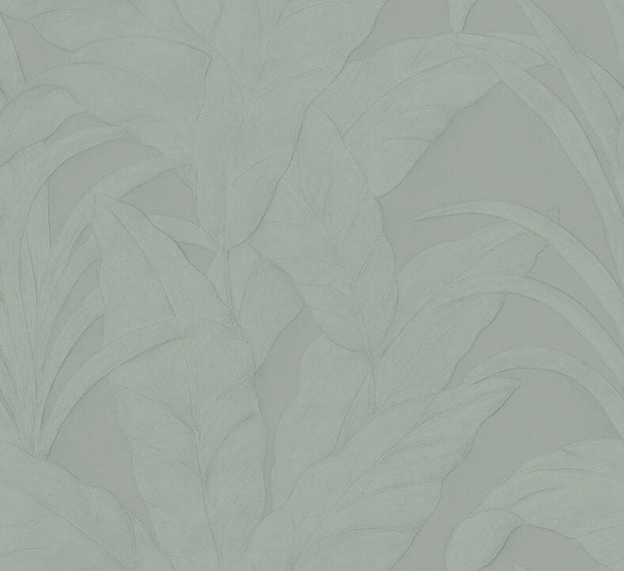 Musa Eucalyptus - Arte