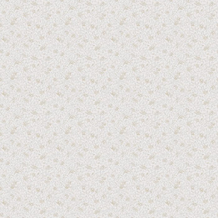 Stella Sandstone - Sandberg