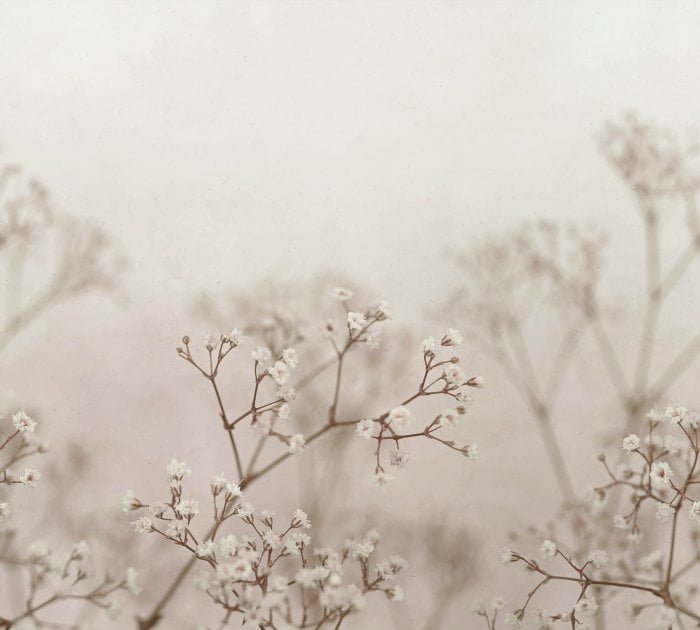 Julia Blush - Sandberg