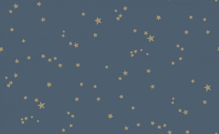 Stars, Metallic Gilver on Midnight - Cole & Son